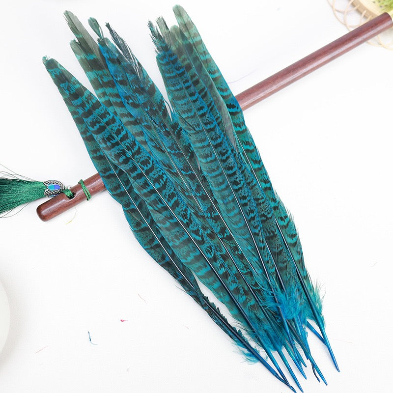Female Ringneck Pheasant Tails-Pack of 10 SF020