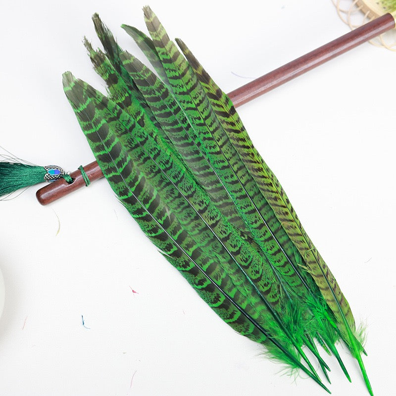Female Ringneck Pheasant Tails-Pack of 10 SF020