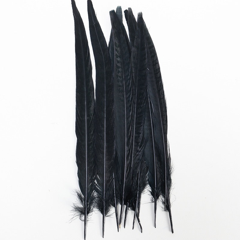 Female Ringneck Pheasant Tails-Pack of 10 SF020