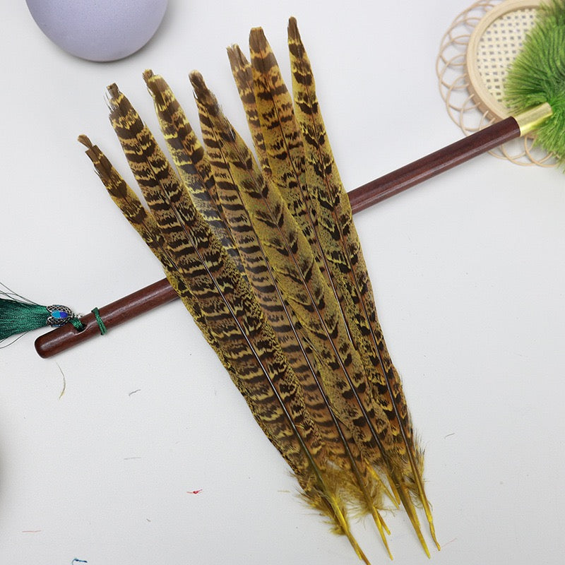 Female Ringneck Pheasant Tails-Pack of 10 SF020