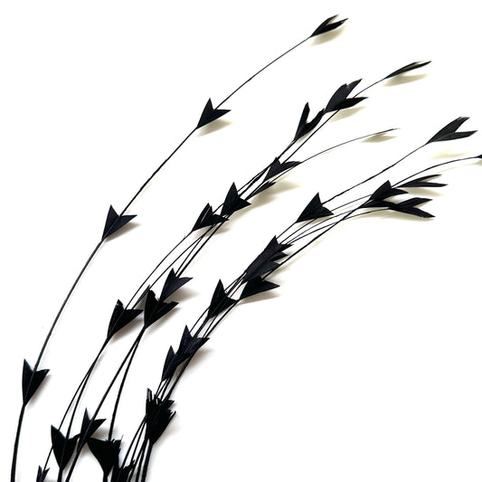 25cm Trimmed Inverted Triangle Tips Coque Feather-Pack of 10 SFROOSTER06