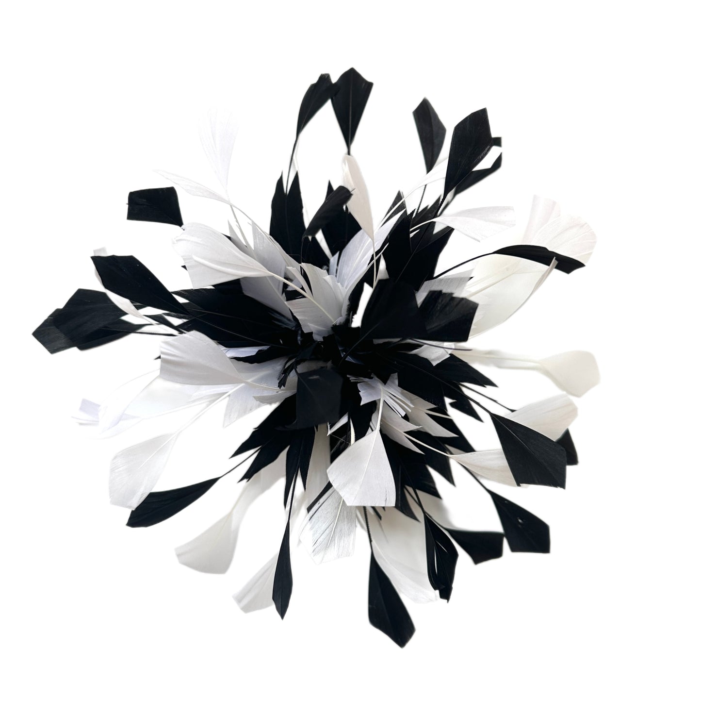 Spiky Centre Goose Feather Flower Mount DS250608