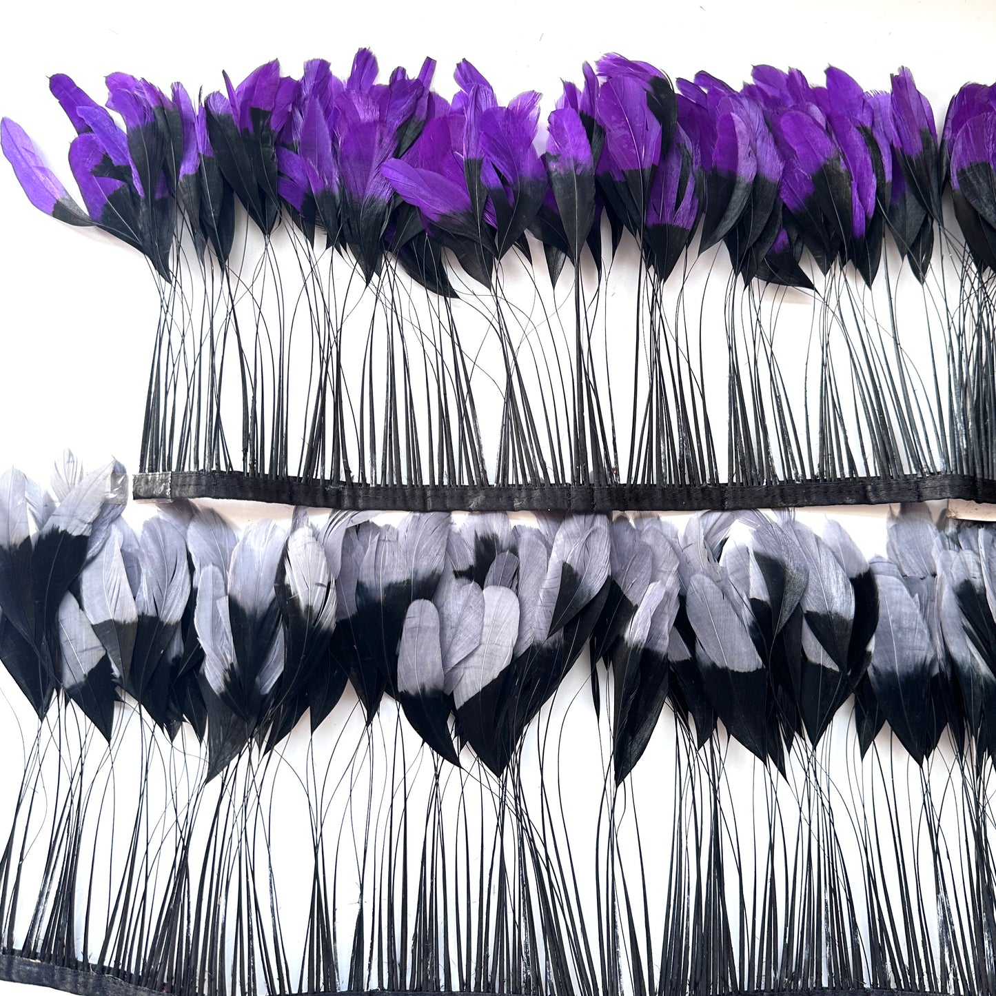Two colour Coque Feather Trim