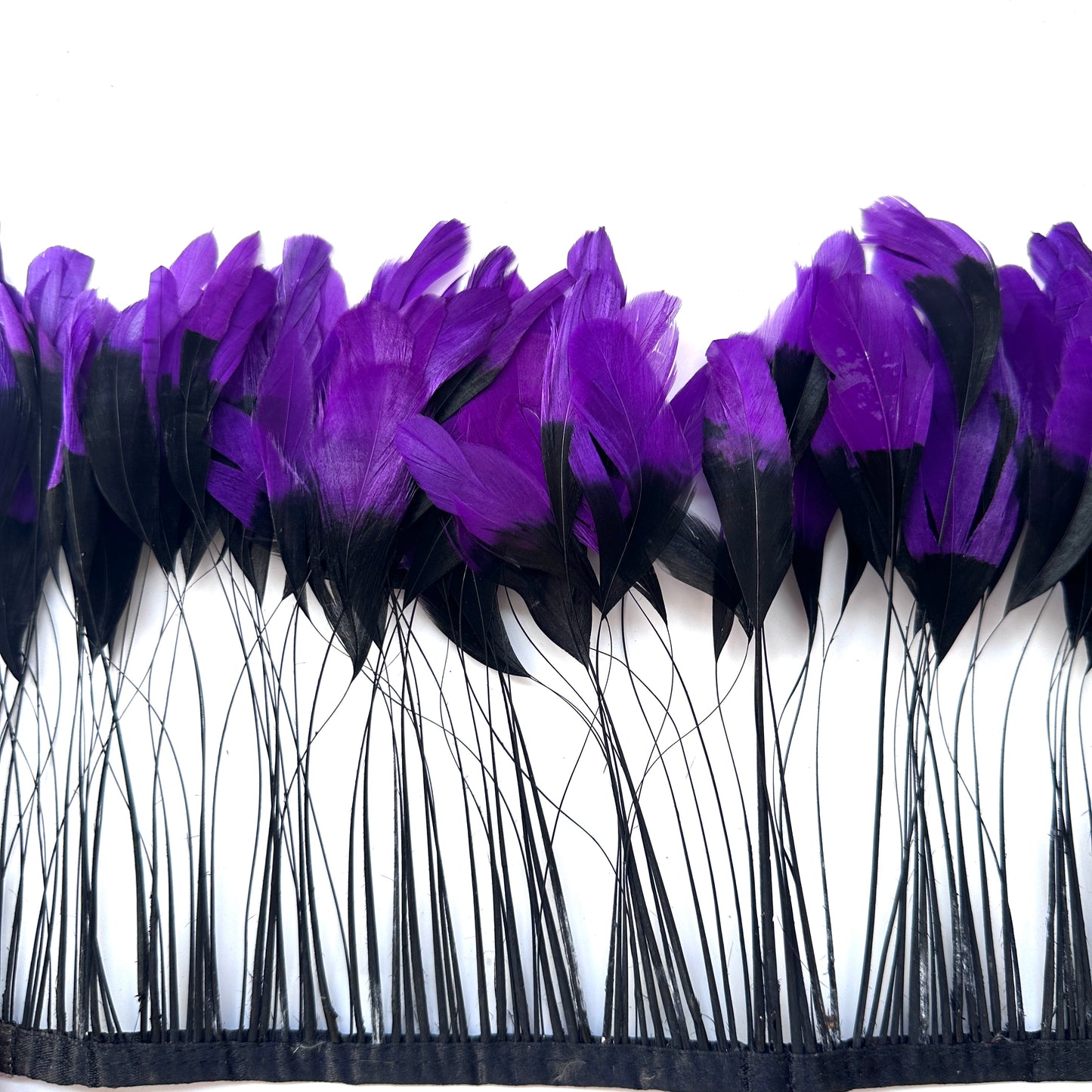 Two colour Coque Feather Trim