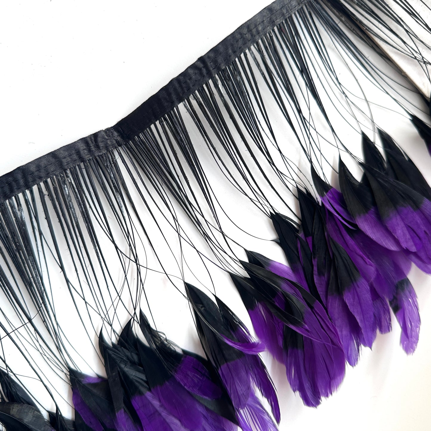 Two colour Coque Feather Trim