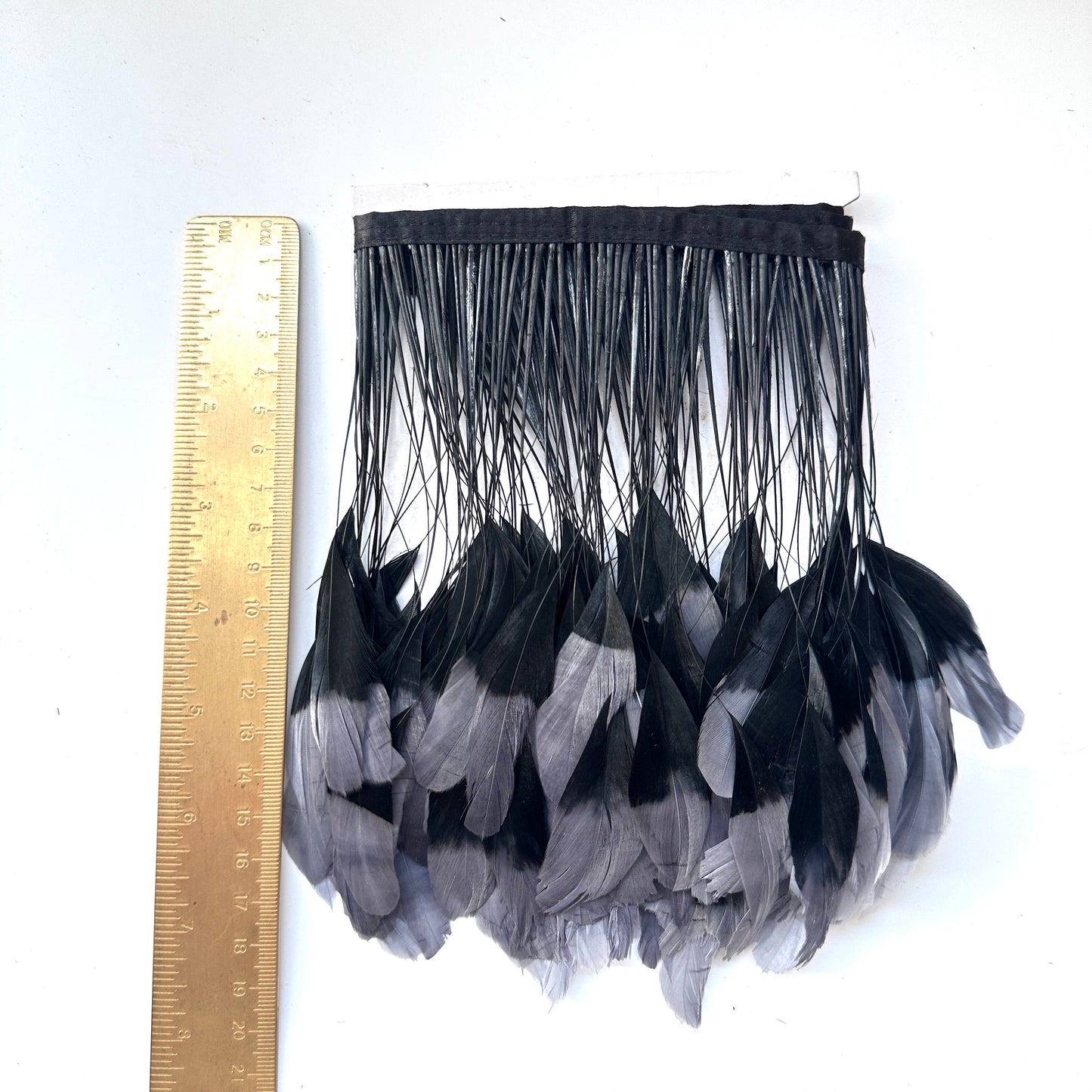 Two colour Coque Feather Trim