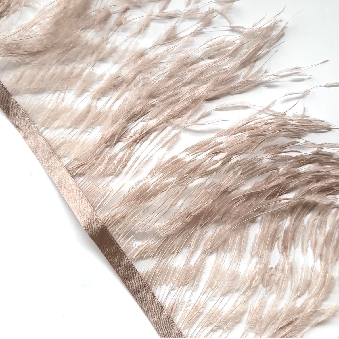 Burnt Ostrich Feather Trim