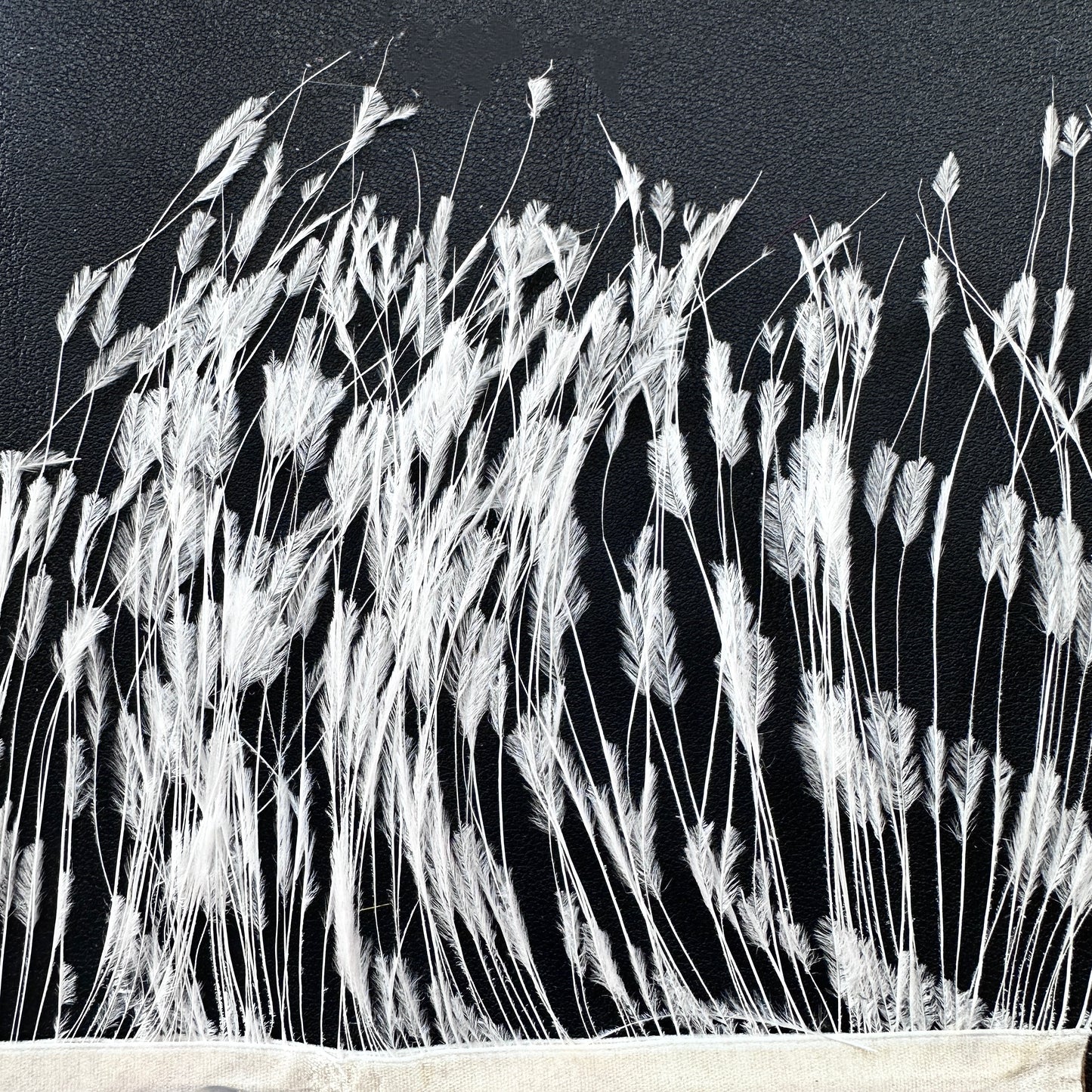 Burnt Ostrich Feather Trim