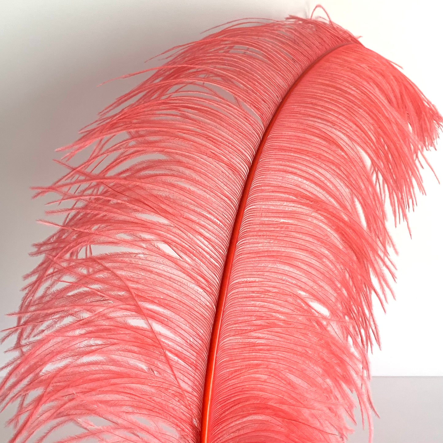 Ostrich Feather Plume 45-55cm