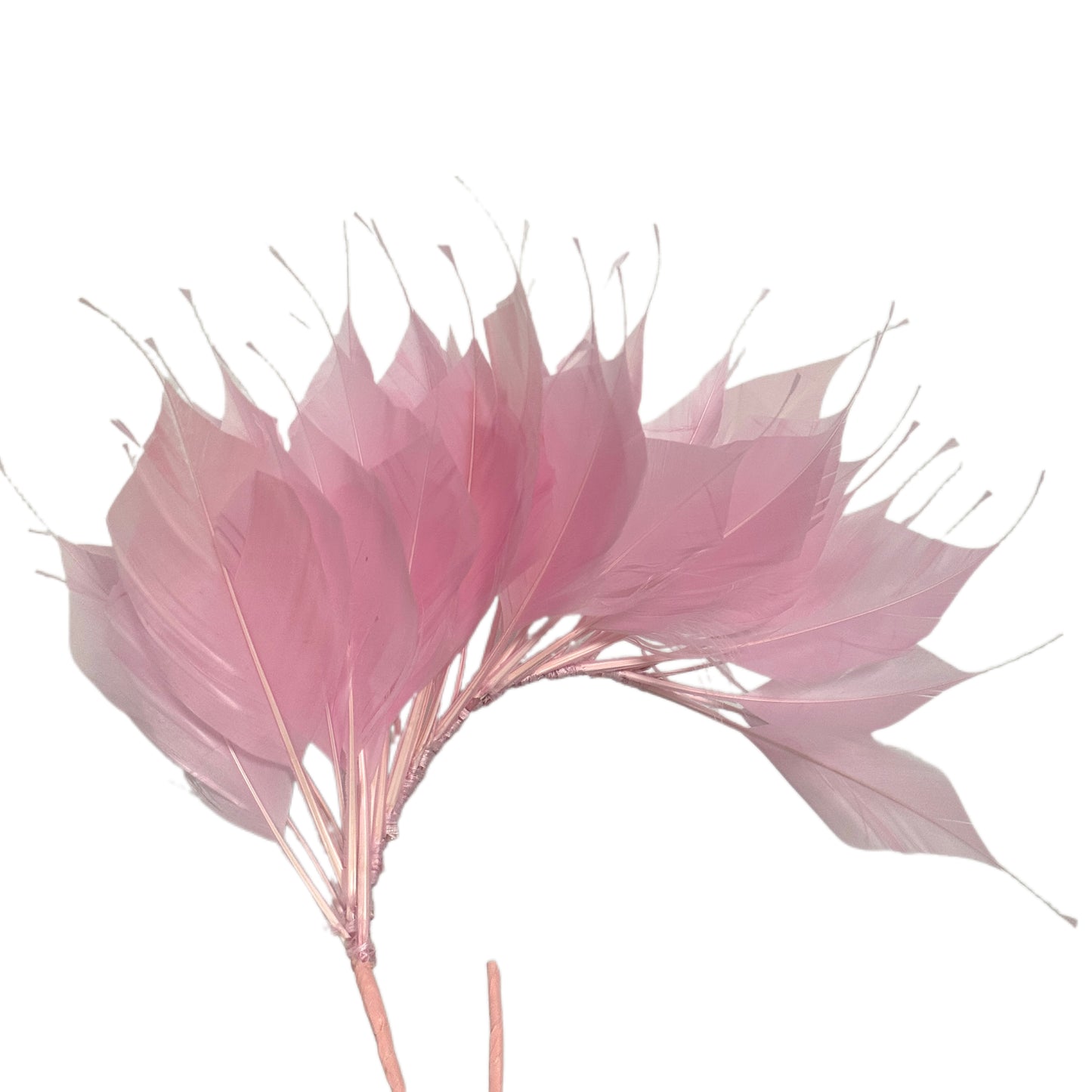 Spiky Goose Feather Wired Hat Mount DS25050D