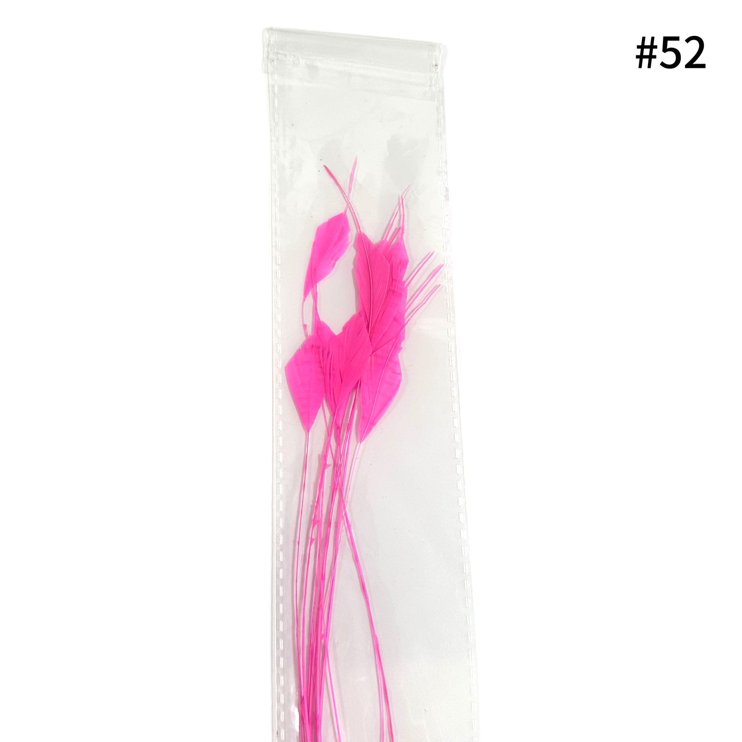 Trimmed Tips Coque Feather-Pack of 10 SFROOSTER09