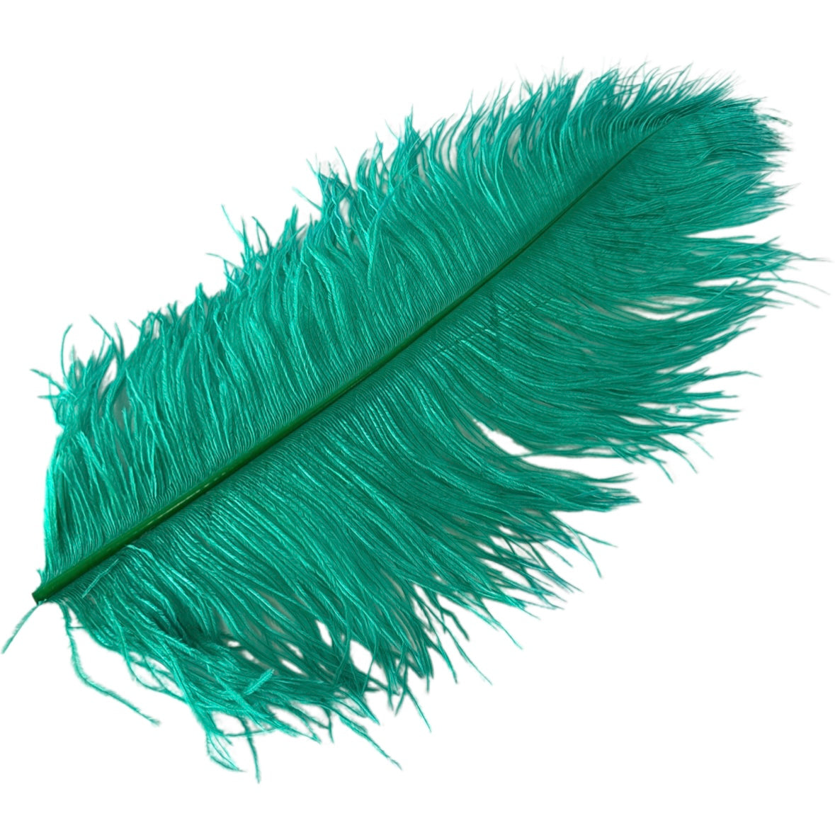 Ostrich Feather Plume 45-55cm