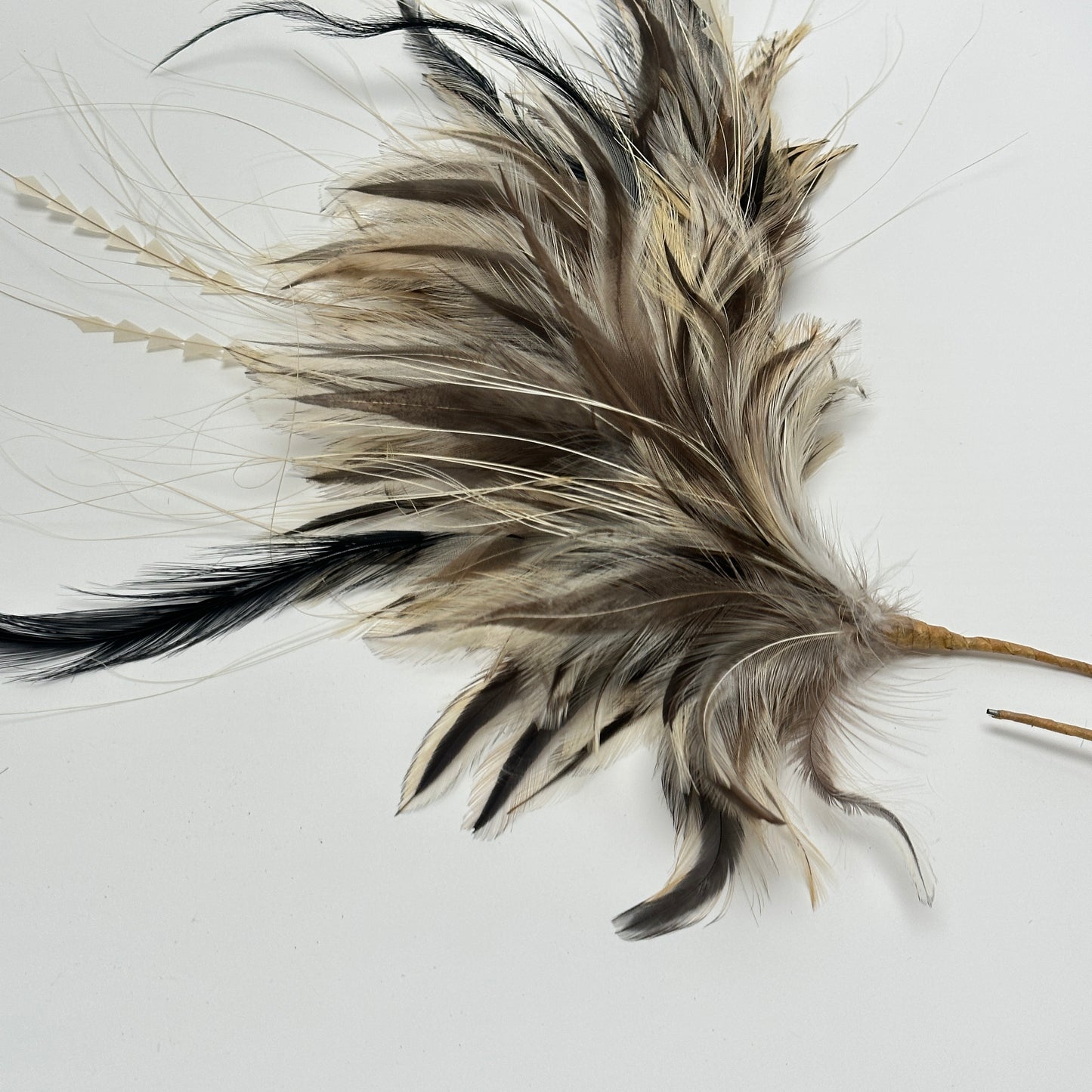 Golden Badger Strung Rooster Neck Hackle Feather Mount