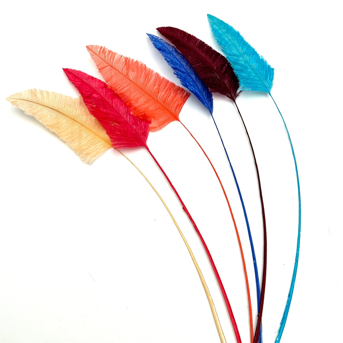 Long Arrowhead Ostrich Feather (1 pack=5 pieces)