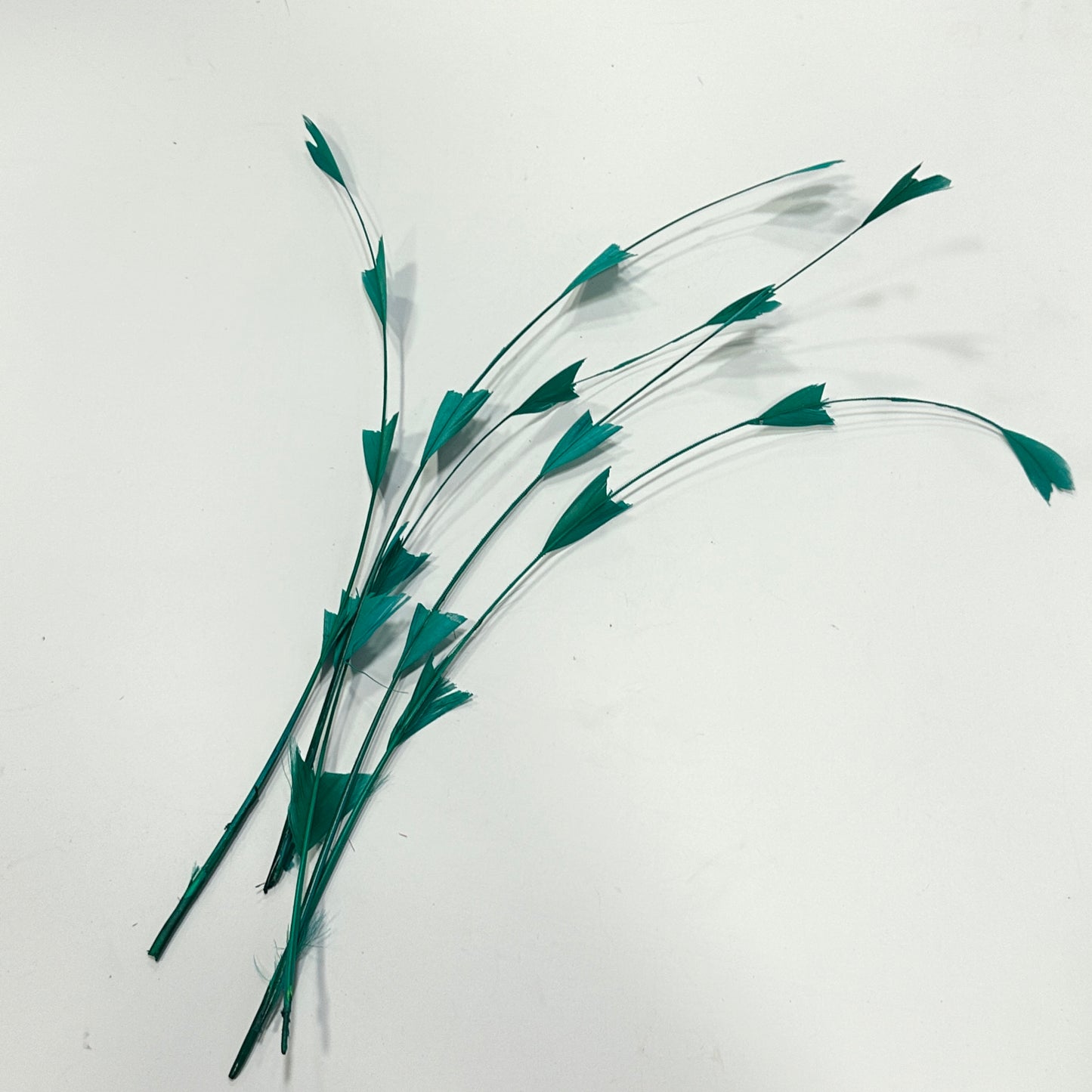 30cm Triangle Tipped Stripped Coque Feather 1 piece
