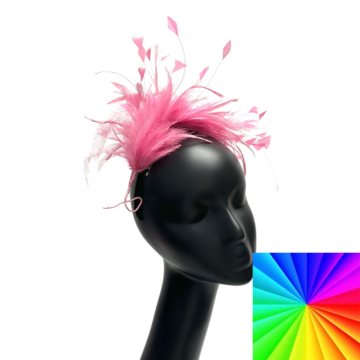 Hackle and Peacock Diamond Tips Feather Mount FM530