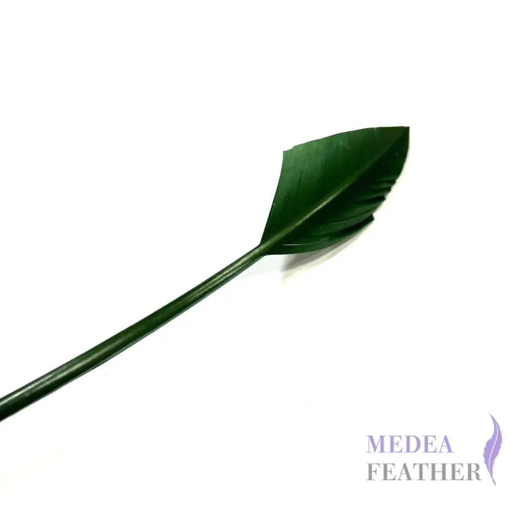 Arrowhead Turkey Quill Feather #96 dark green
