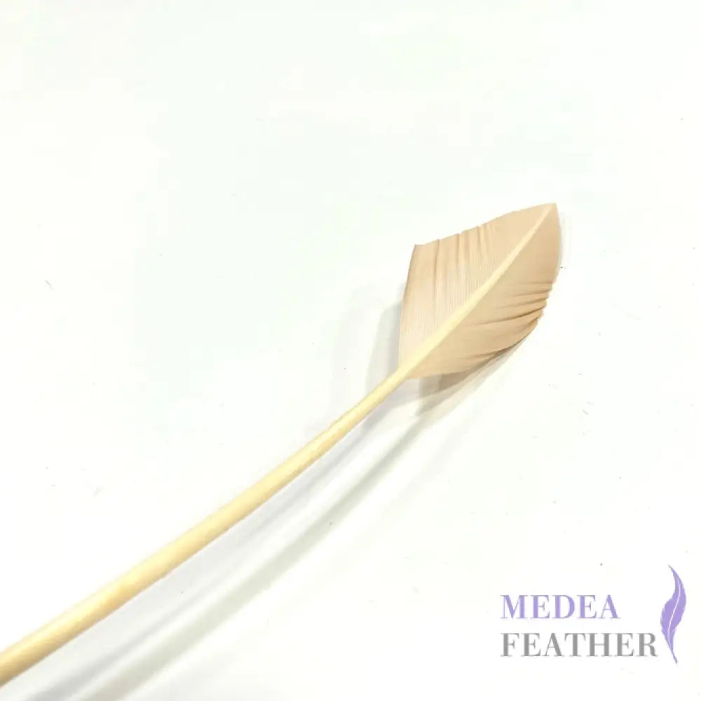 Arrowhead Turkey Quill Feather Beige