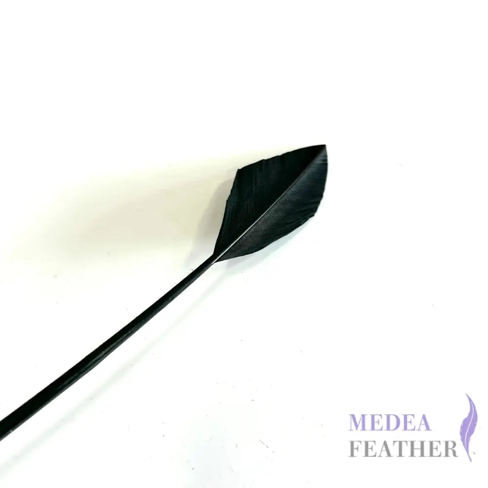 Arrowhead Turkey Quill Feather Black