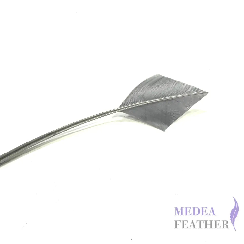 Arrowhead Turkey Quill Feather Gray