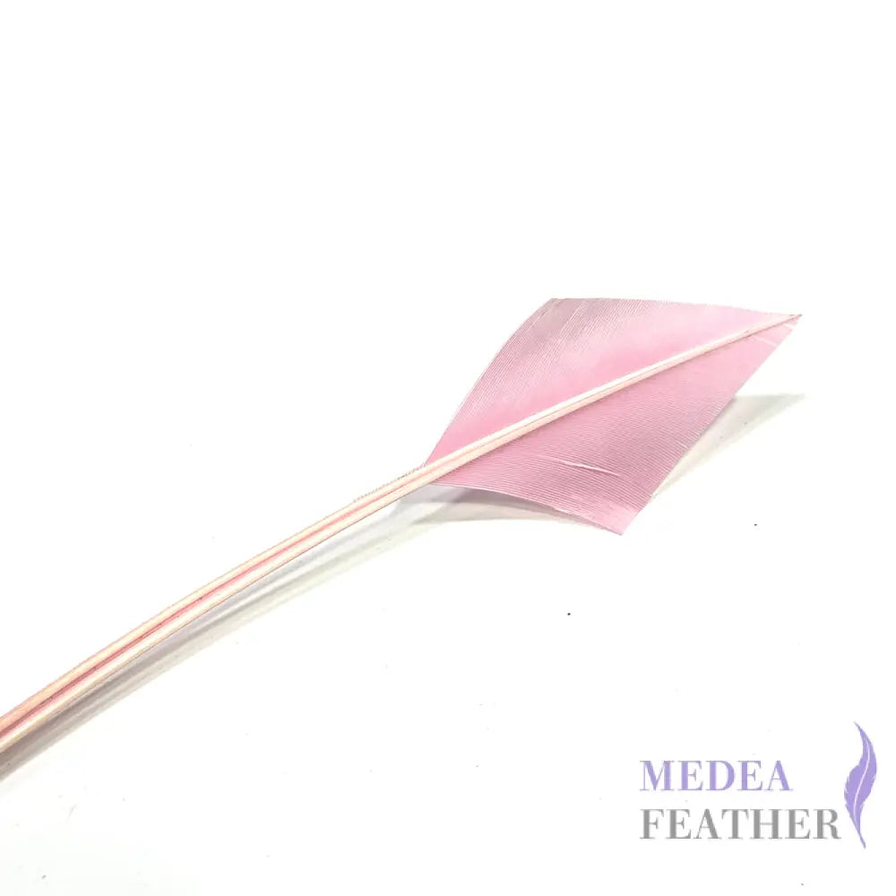 Arrowhead Turkey Quill Feather Pink