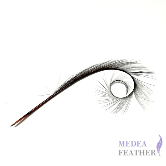 Burnt Curled Ringneck Pheasant Feather 1 Piece #35 raspberry radiance