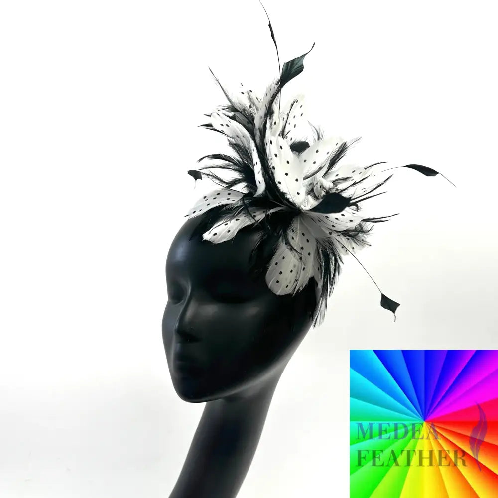 Classic Dot Design and Hackle Feather Flower Mount Custom - Please add text below
