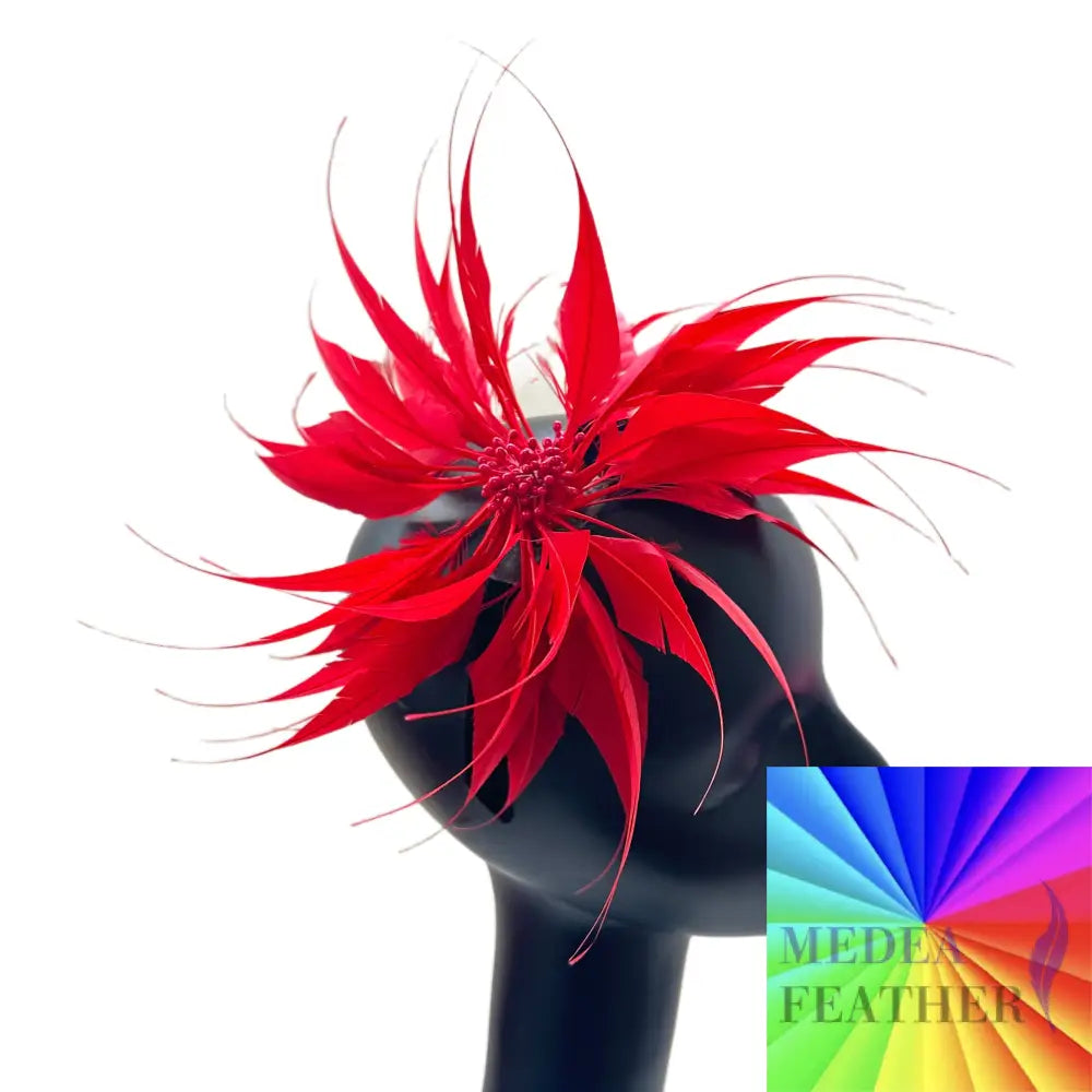 Diamond Cut Goose Feather Mount Custom Please add text below