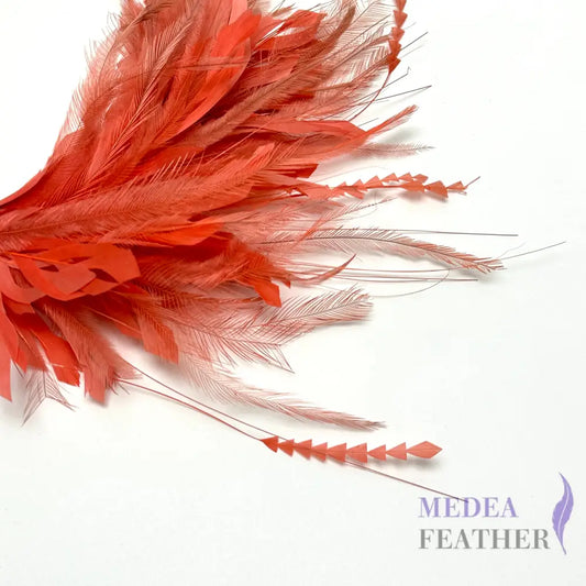 Emu and Zigzag Coque Feather Mount Custom - Please add text below
