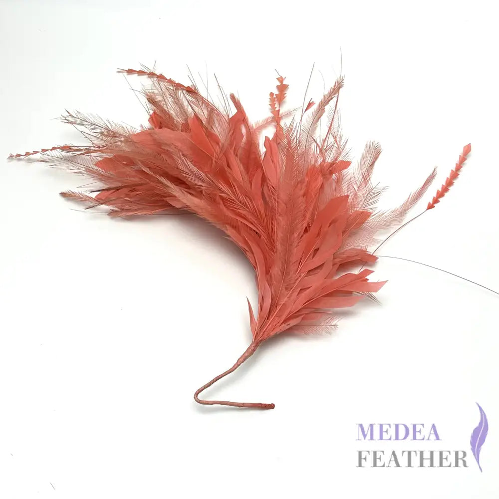 Emu and Zigzag Coque Feather Mount Custom - Please add text below
