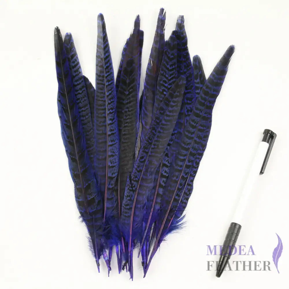 Female Ringneck Pheasant Tails