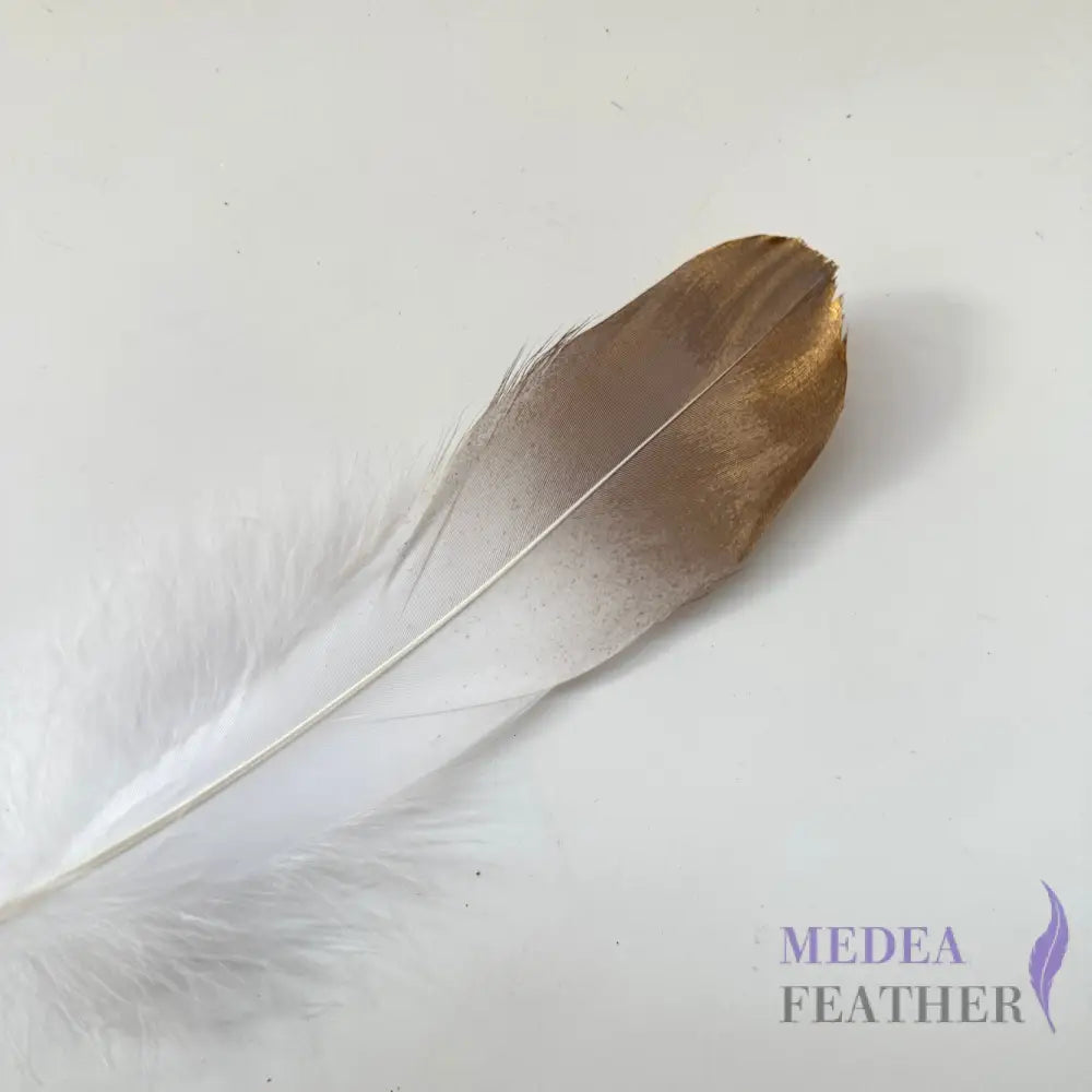 Gold Dipped Goose Feather-Pack of 10