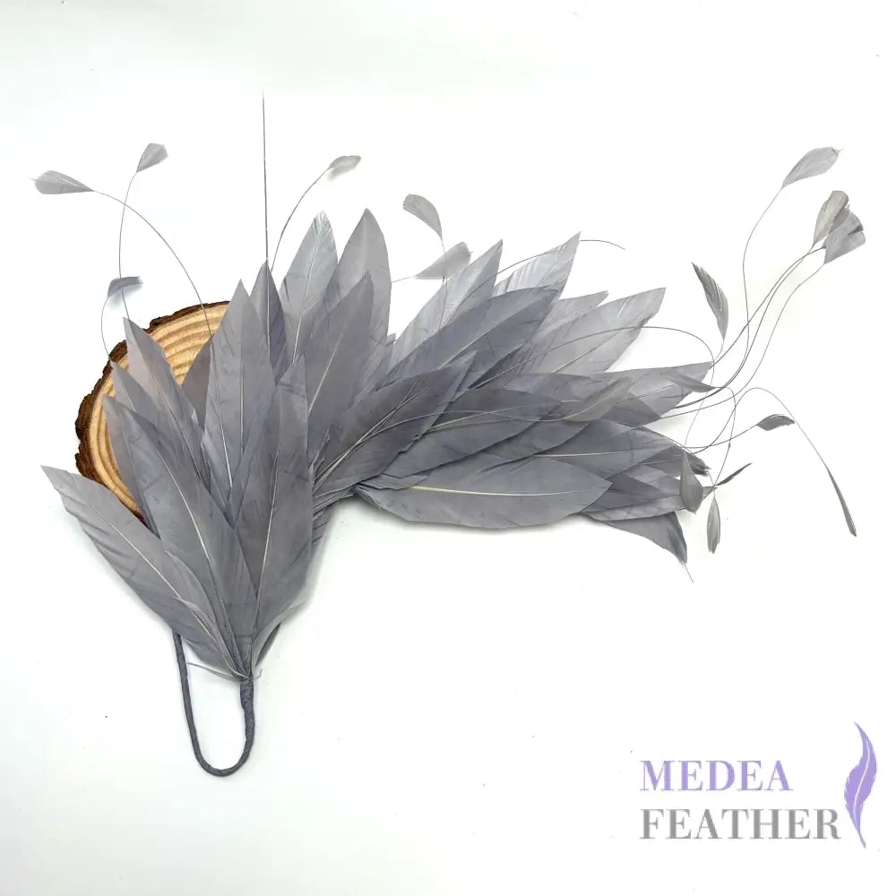 *Sales* Goose and Coque Feather Mount FM304