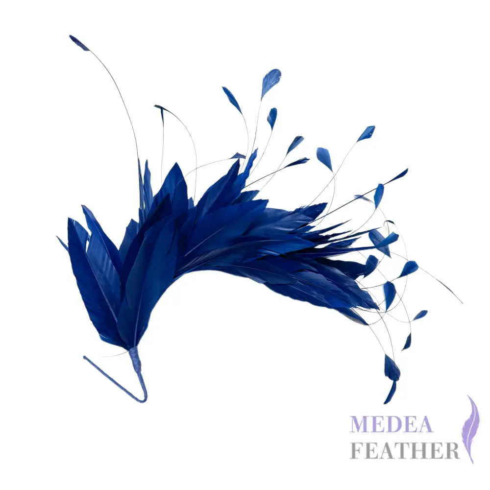 *Sales* Goose and Coque Feather Mount FM304