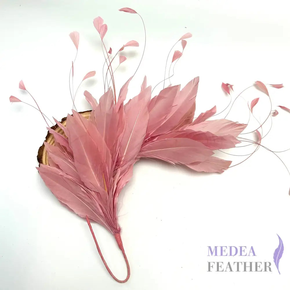 *Sales* Goose and Coque Feather Mount FM304