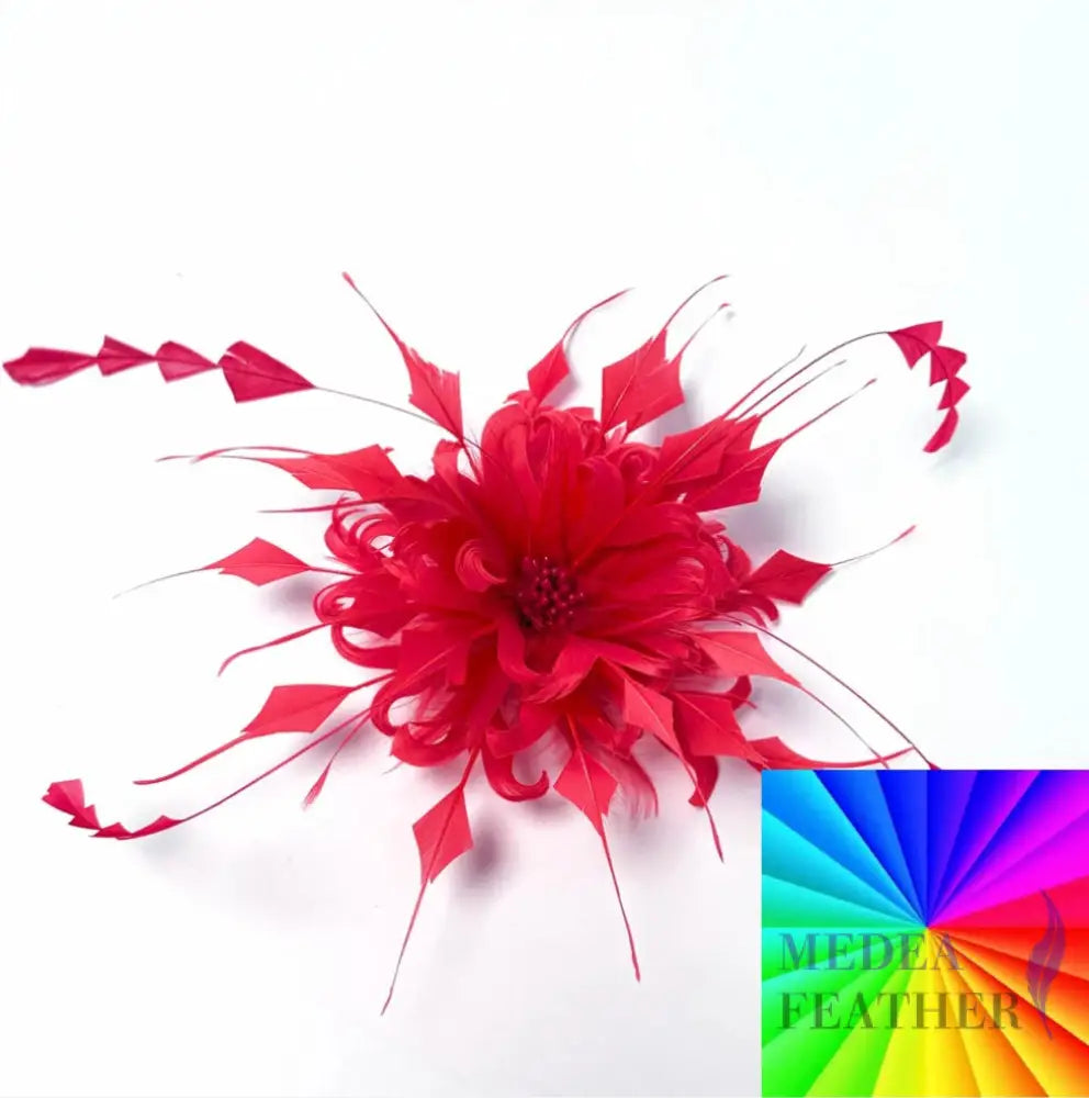 Goose Feather & Diamond Coque Feather Tips Flower Mount Custom - Please add text below