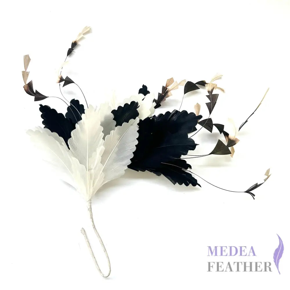 Gradient Goose & Coque Feather Mount semicircle edge