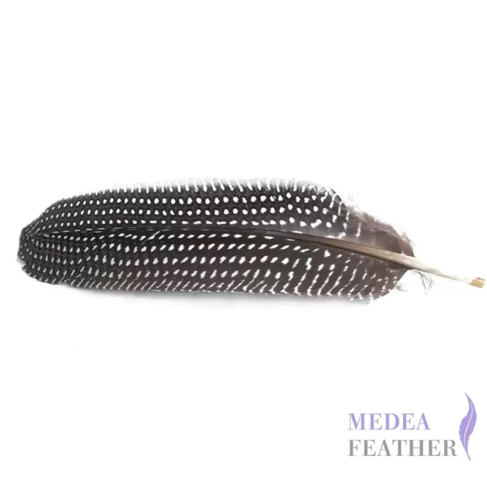 Guinea Fowl Feather (1 pack=10 pieces)