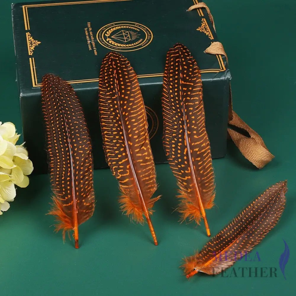 Guinea Fowl Feather (1 pack=10 pieces) Orange