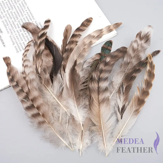 Long Chinchilla Coque Feather-Pack of 50 - Natural