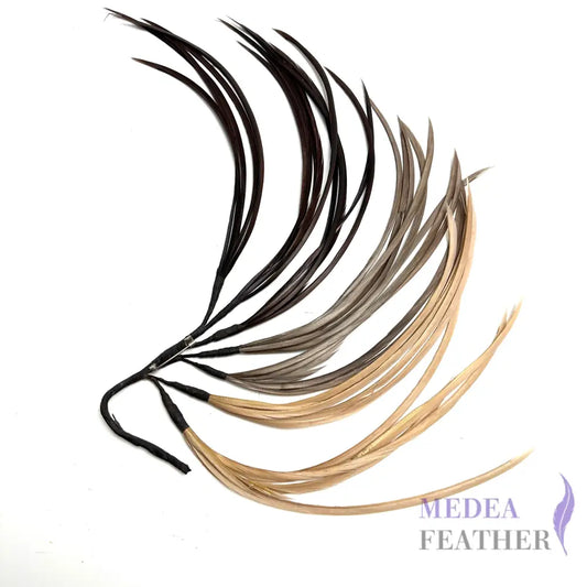 Long Goose Biot Feather Branch Mount #38 wood brown