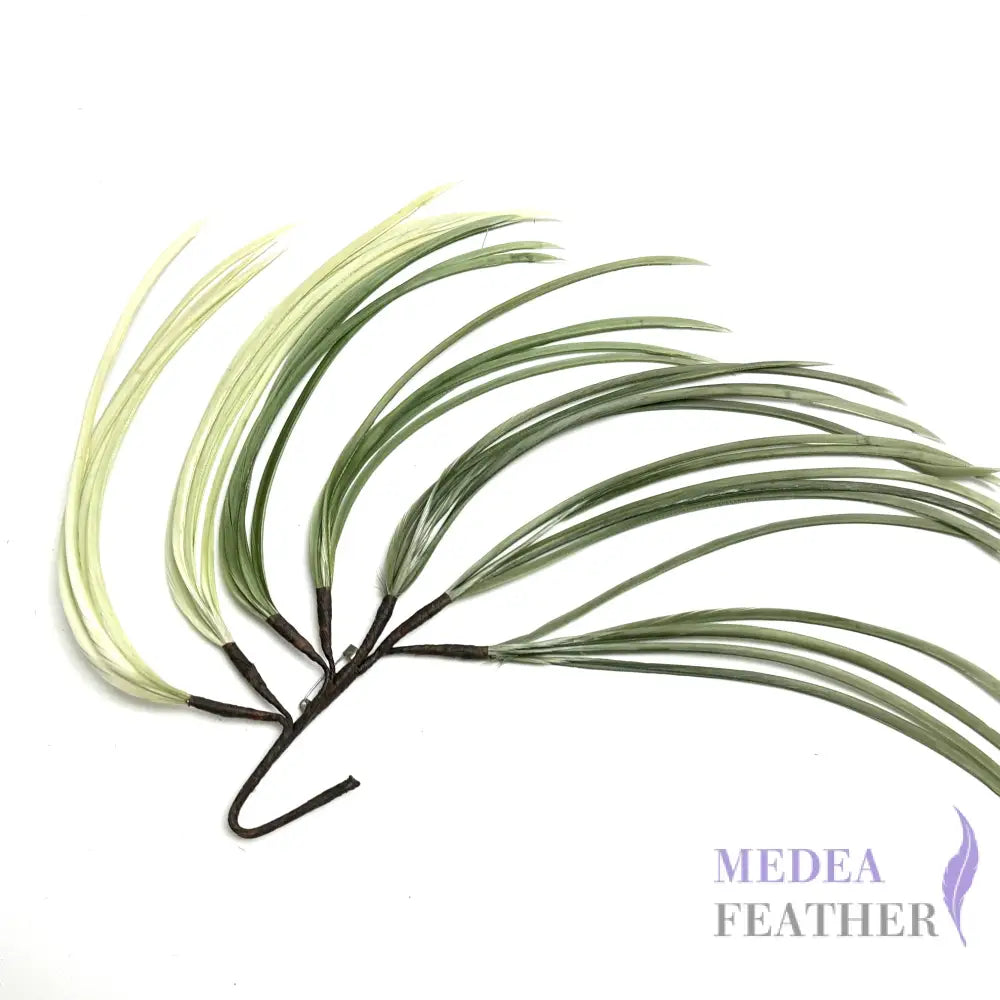 Long Goose Biot Feather Branch Mount Green