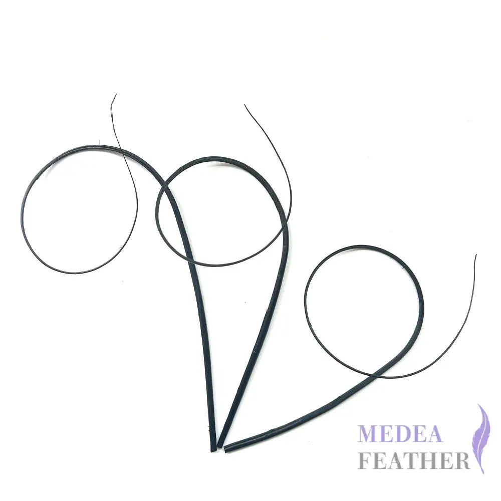 Loop Curved Ostrich Feather Quill - #03 black