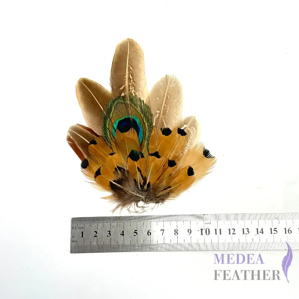 Medium Country Feather Mount CFM05