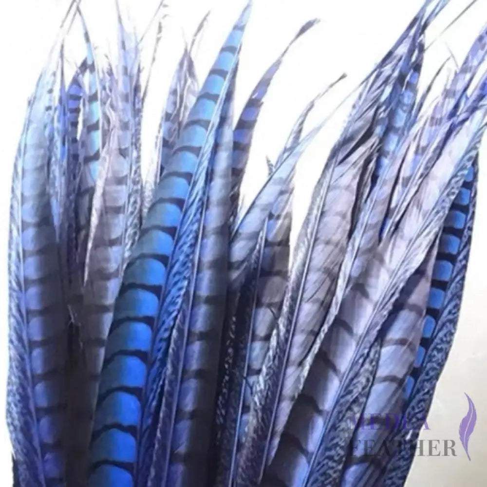 Multi-colour&sizes Natural Lady Amherst Pheasant Feather 20 cm / Blue