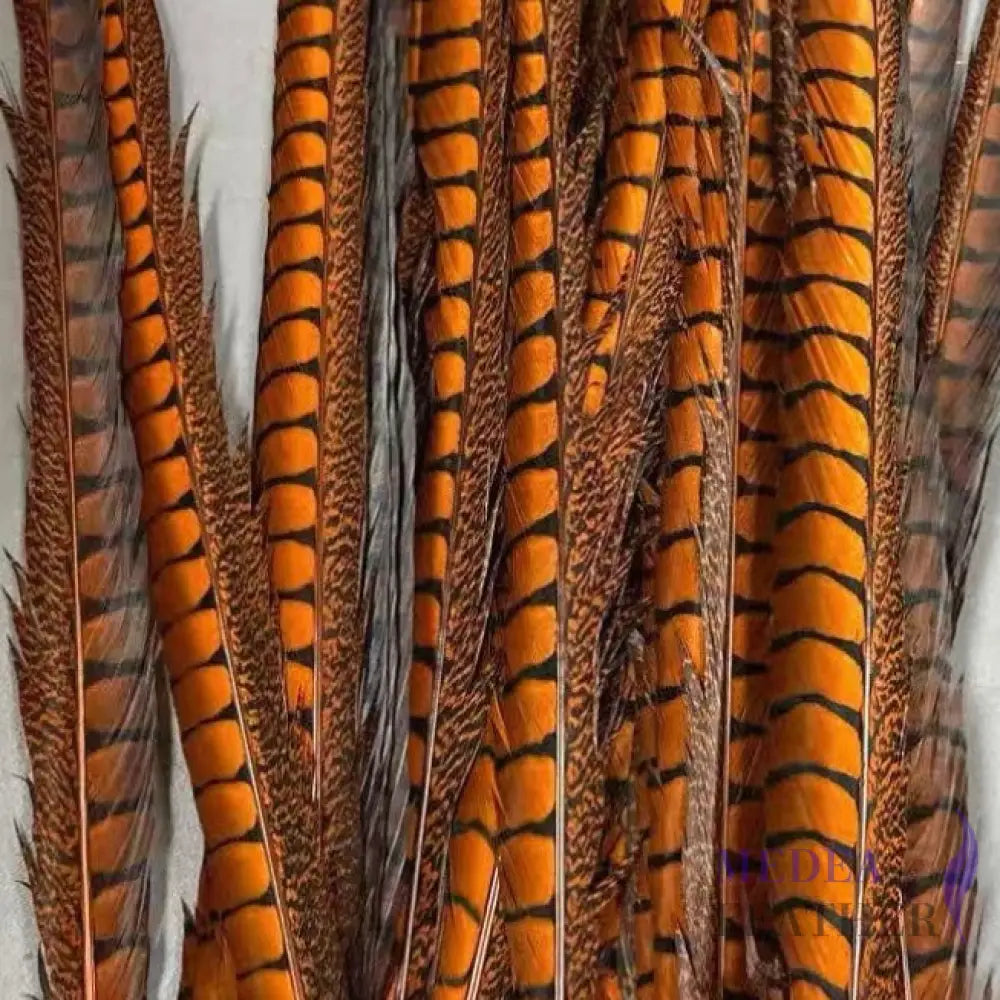 Multi-colour&sizes Natural Lady Amherst Pheasant Feather 20 cm / Orange