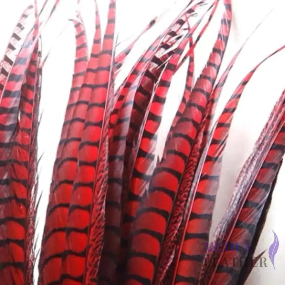 Multi-colour&sizes Natural Lady Amherst Pheasant Feather 20 cm / Red