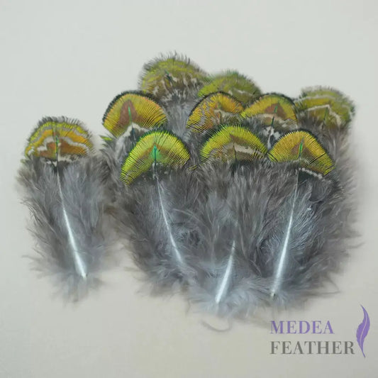Natural Iridescent Peacock Plumage Feather-Pack of 100 - Natural Gold