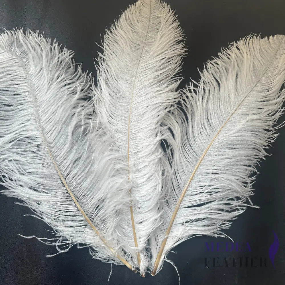Ostrich Feather Plume 45-55cm SF013B - Ivory / Large