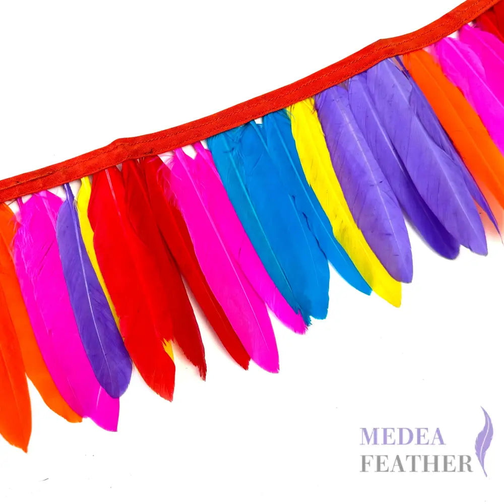 Rainbow Multicolour Goose Feather Trim Fringe 1 Meter